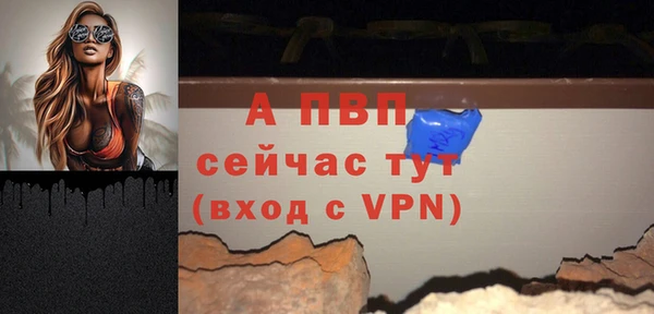 твердый Гусев