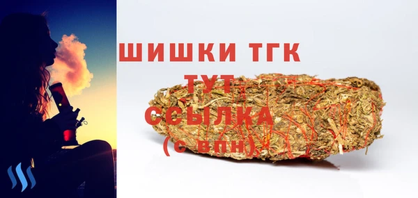 винт Гусиноозёрск