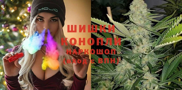 винт Гусиноозёрск