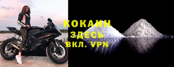 винт Гусиноозёрск