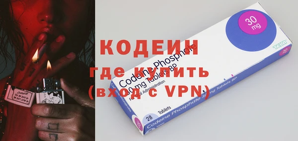 твердый Гусев