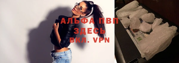 твердый Гусев