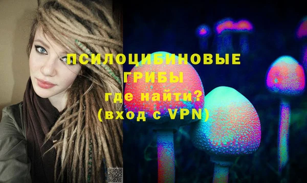 экстази Гусь-Хрустальный
