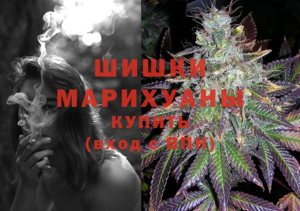 винт Гусиноозёрск