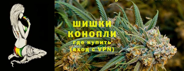 винт Гусиноозёрск