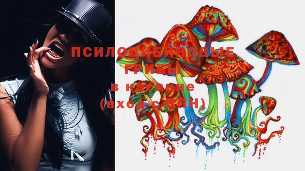 твердый Гусев