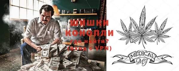 винт Гусиноозёрск