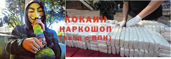 твердый Гусев