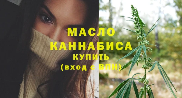 твердый Гусев