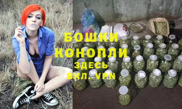 твердый Гусев