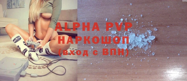 твердый Гусев