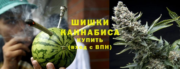твердый Гусев