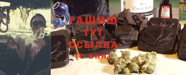 твердый Гусев